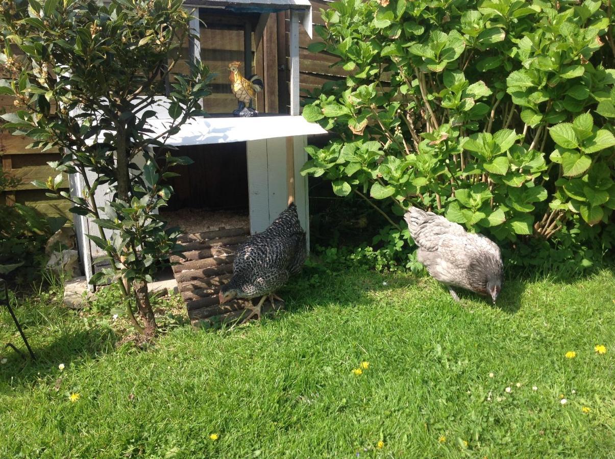 Le Jardin Des Poules Bed & Breakfast Thiétreville Exterior photo
