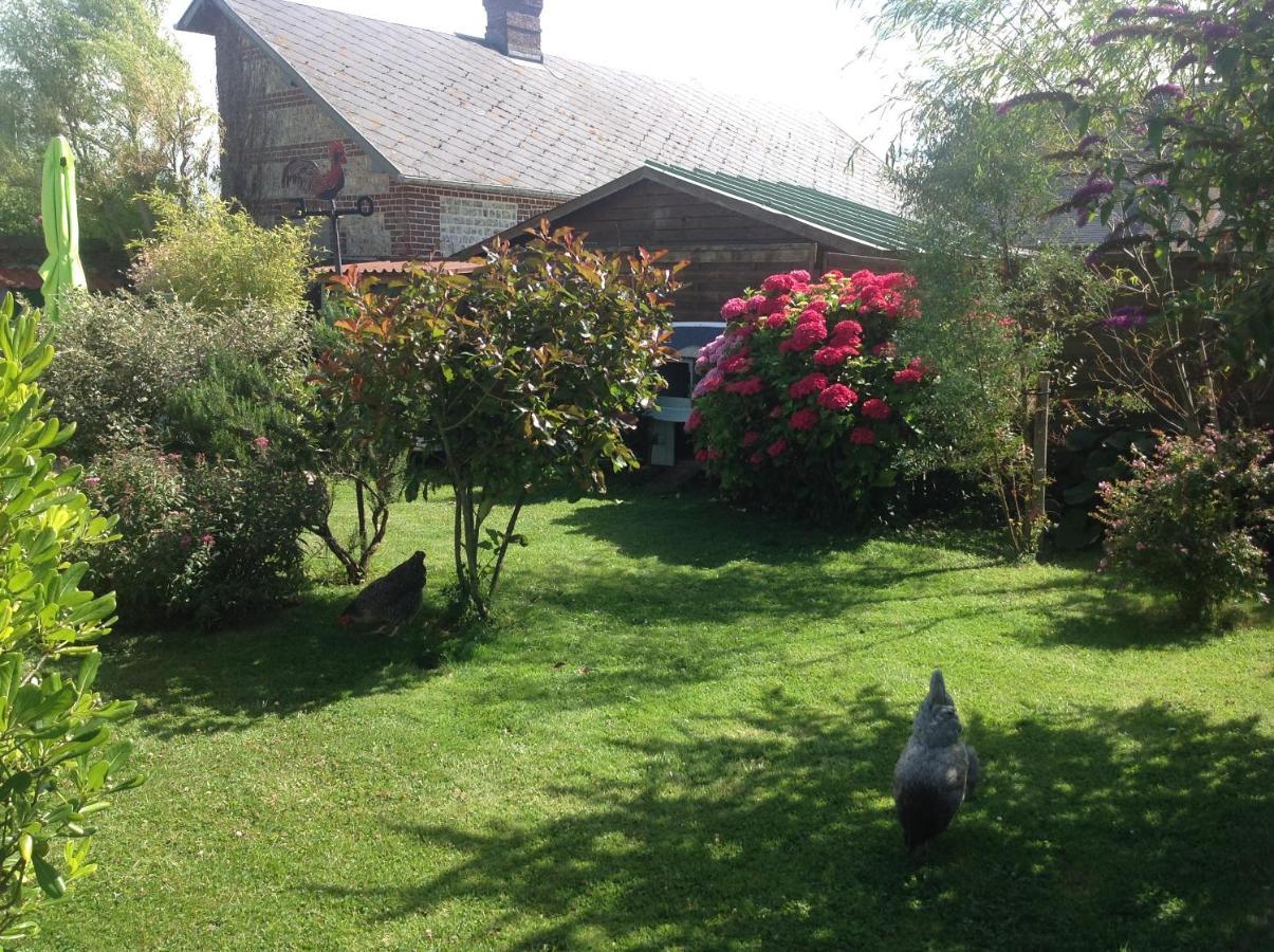 Le Jardin Des Poules Bed & Breakfast Thiétreville Exterior photo